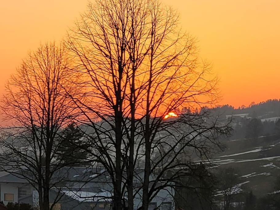 Apartmán La Jolie Parenthese Longevilles-Mont-dʼOr Exteriér fotografie